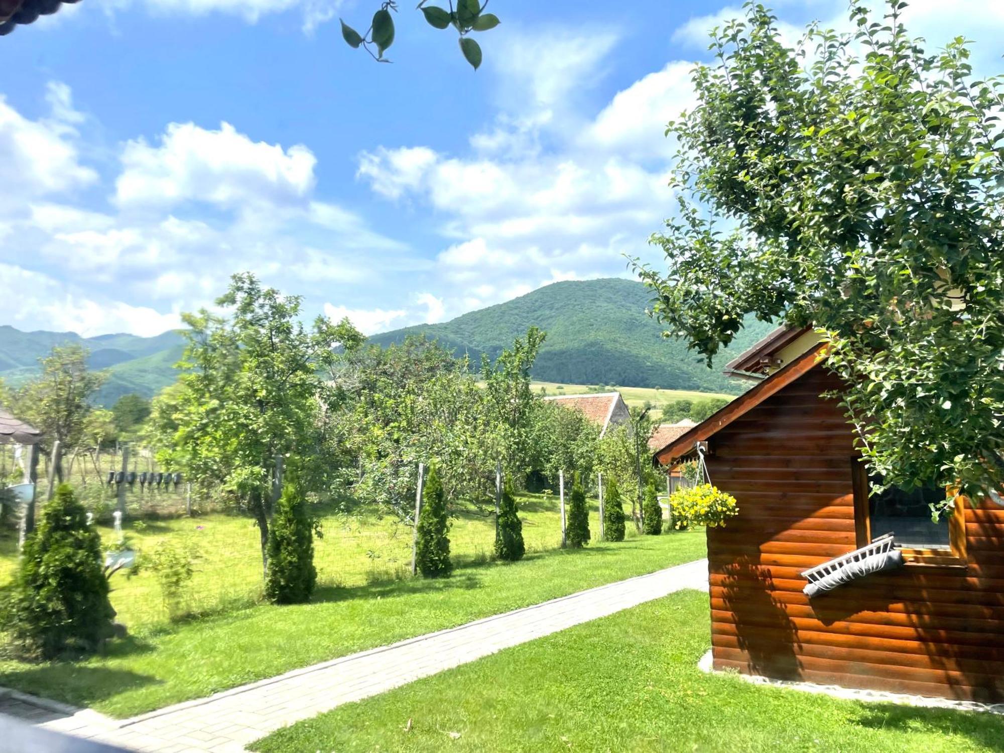Casa De Vacanta Orlat ภายนอก รูปภาพ